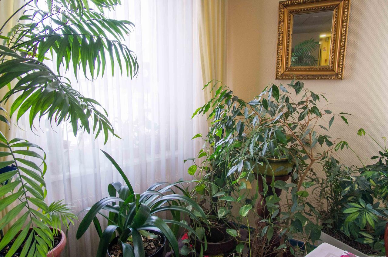 Hotel De Bale Bantzenheim Kültér fotó