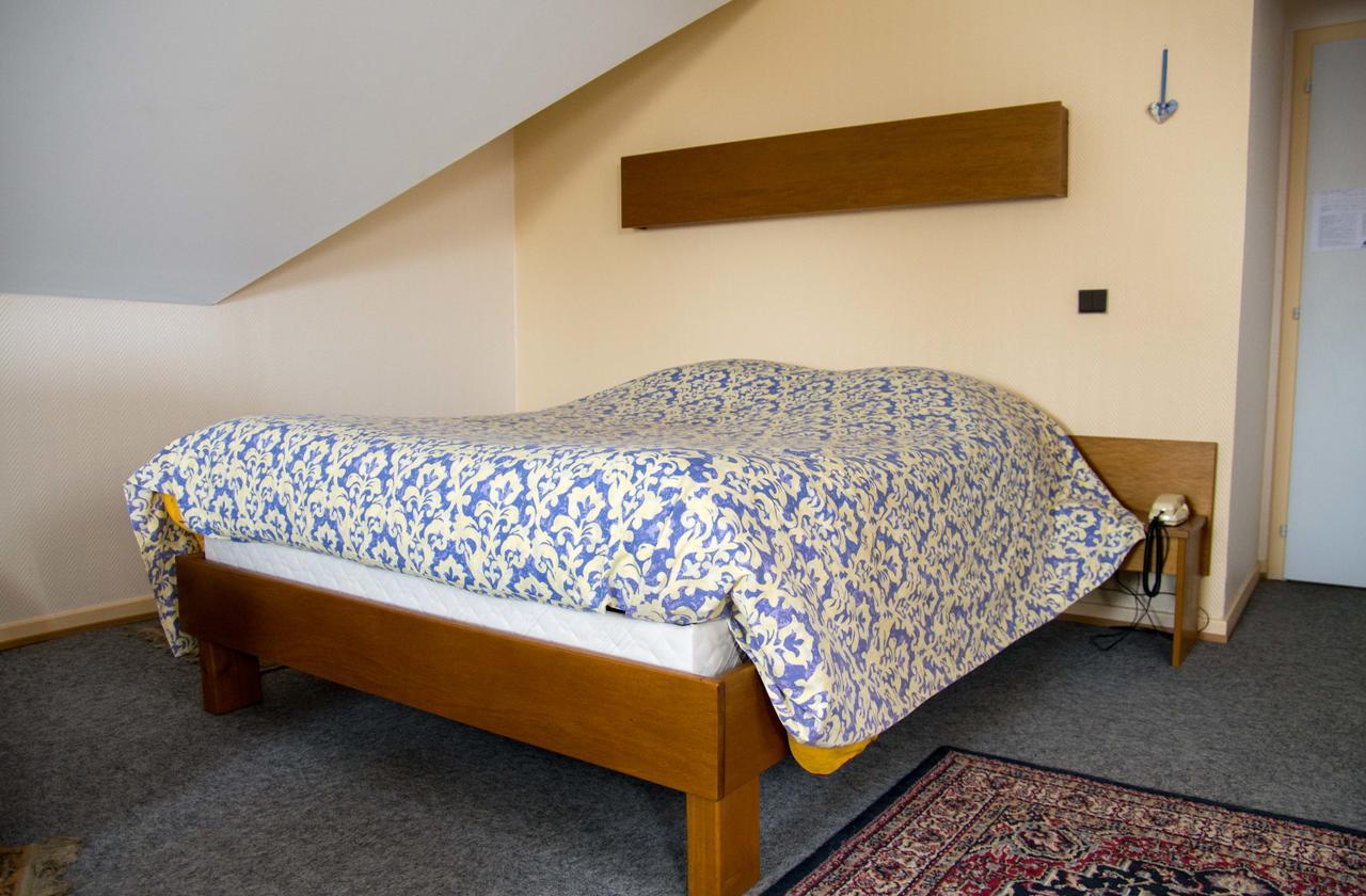 Hotel De Bale Bantzenheim Kültér fotó